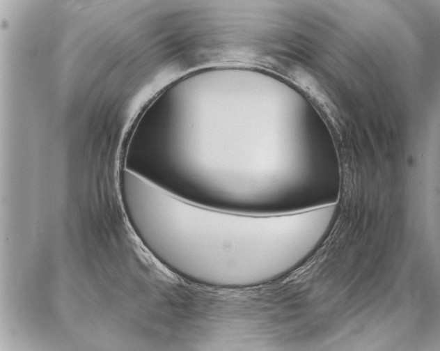 X0000087391480200704200915
