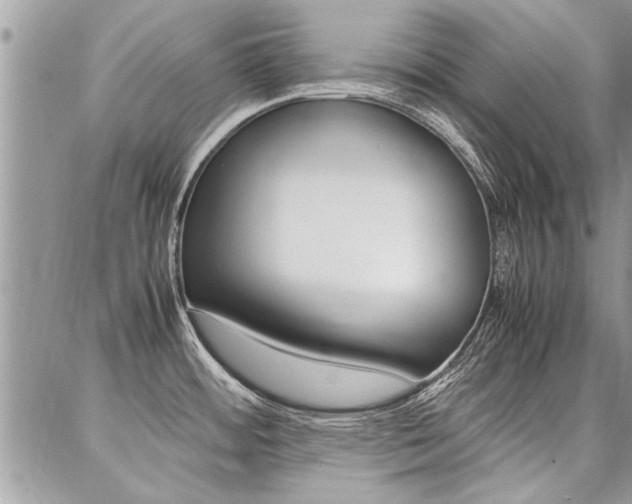 X0000087391484200704200915