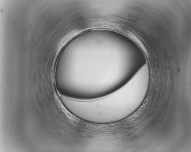 X0000087391485200704200915