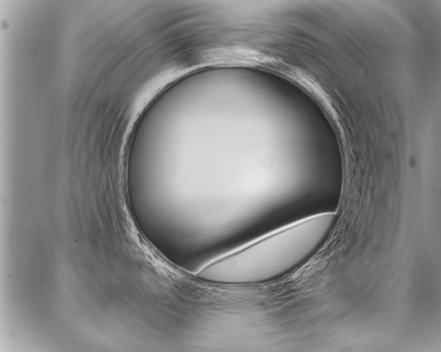 X0000087391488200704200915