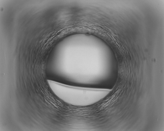 X0000087391490200704200914