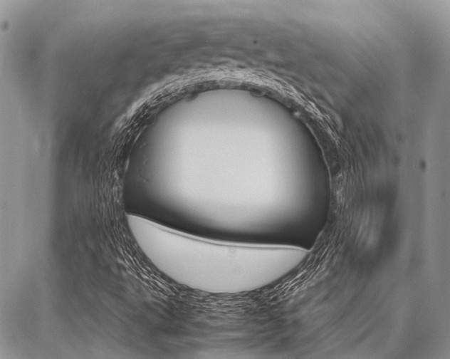 X0000087391495200704200915