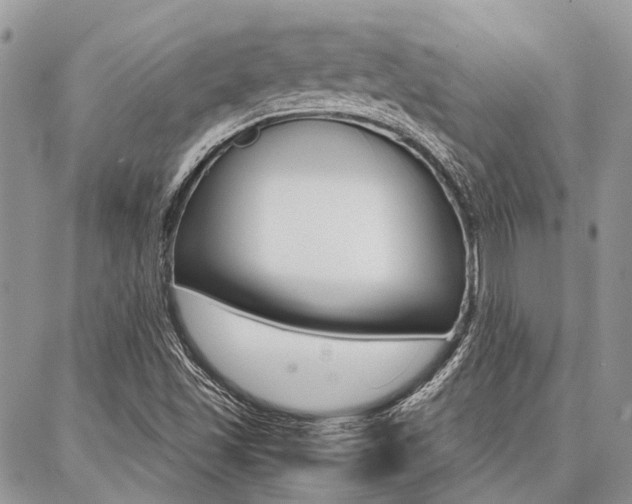 X0000087391501200704200915