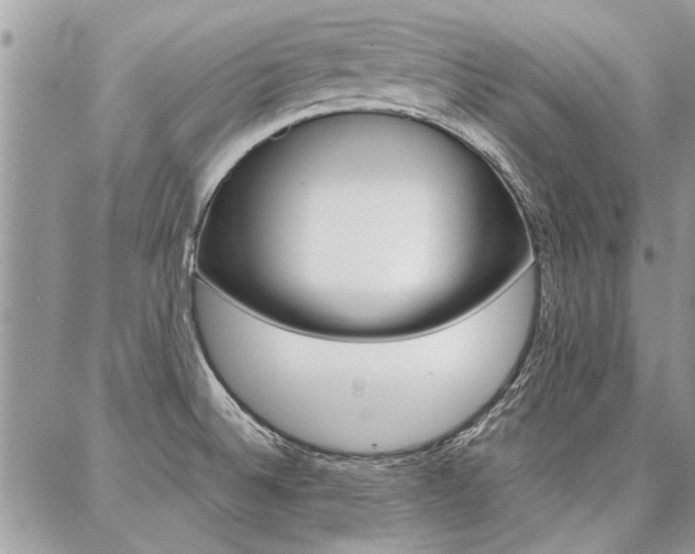 X0000087391524200704200915