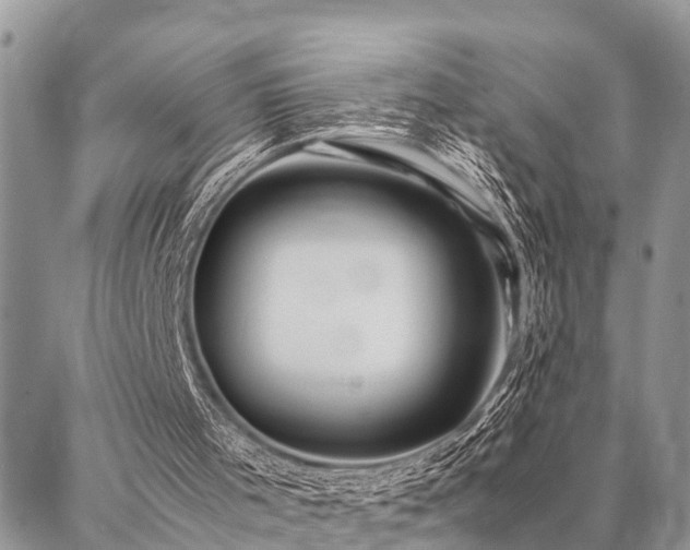 X0000087390001200704201254