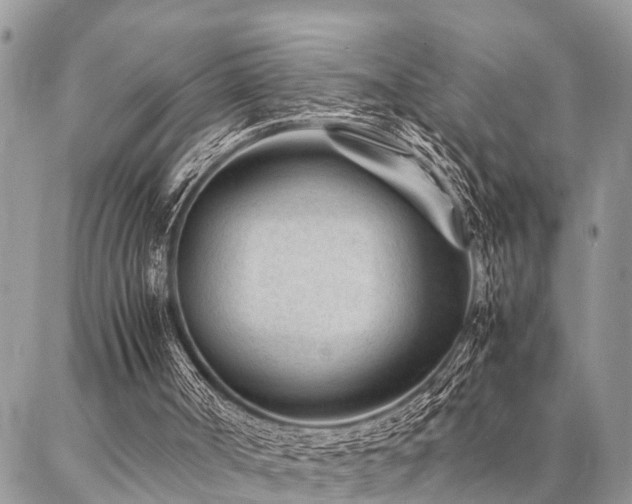 X0000087390002200704201254