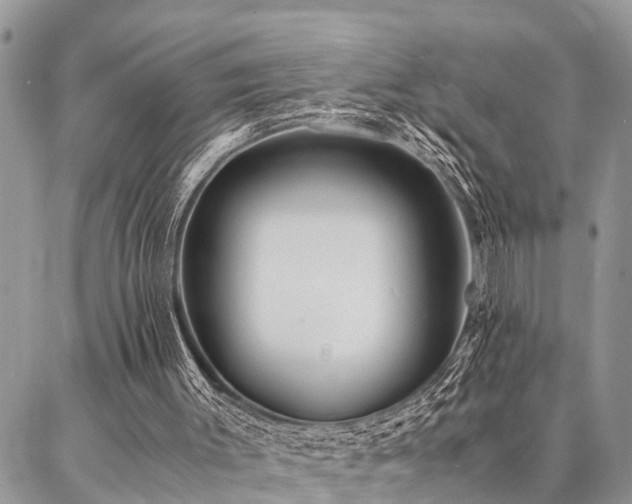 X0000087390003200704201254