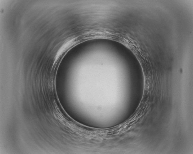 X0000087390004200704201254