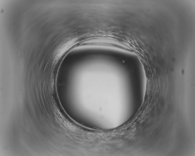 X0000087390005200704201254