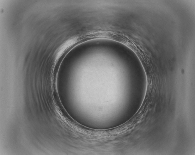 X0000087390006200704201254