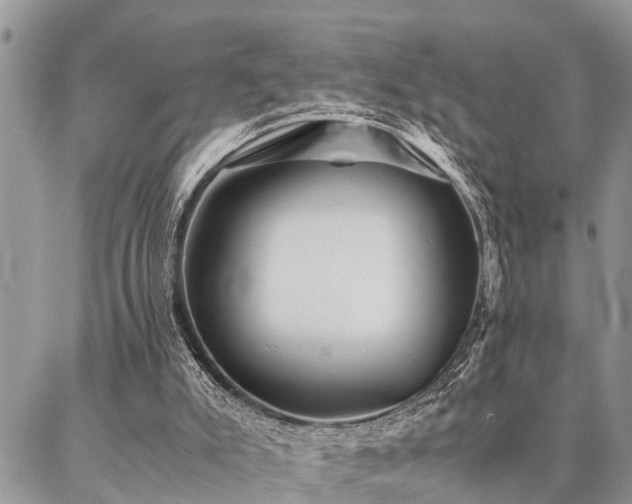 X0000087390007200704201254