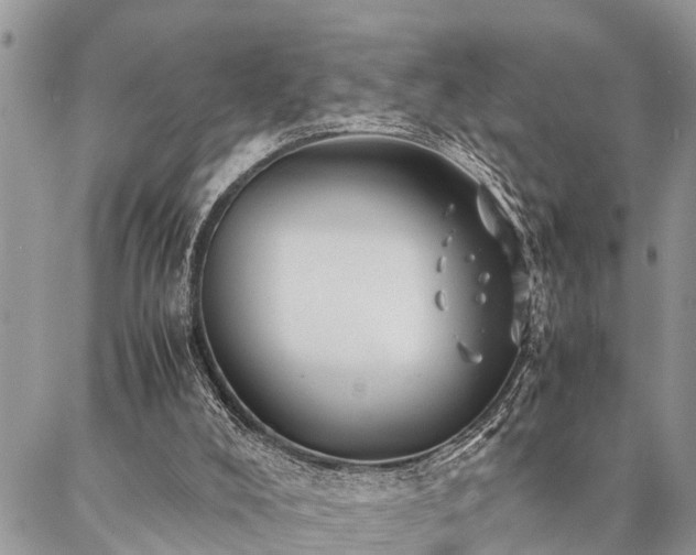 X0000087390008200704201254