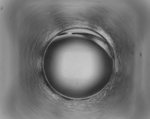 X0000087390009200704201254