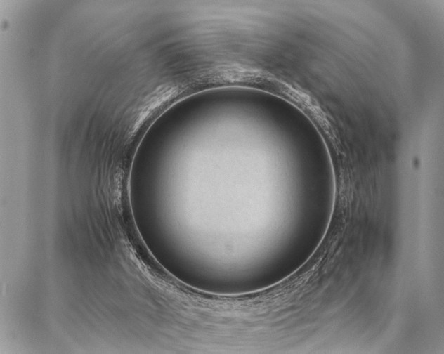 X0000087390010200704201254