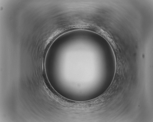 X0000087390011200704201254