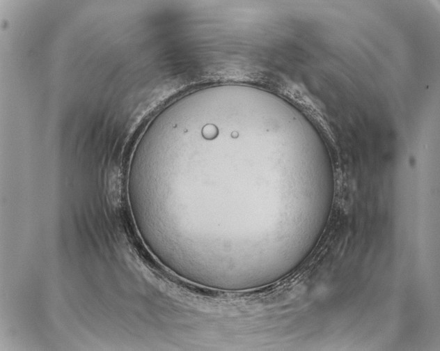 X0000087390012200704201254