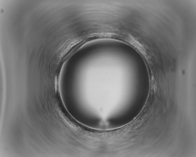 X0000087390013200704201254