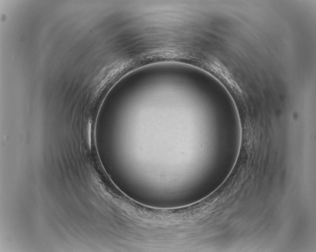 X0000087390014200704201254