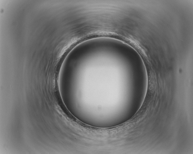 X0000087390015200704201254