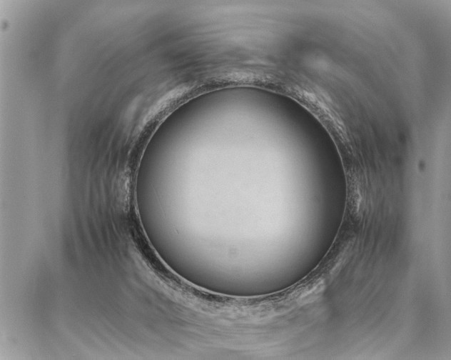 X0000087390016200704201254