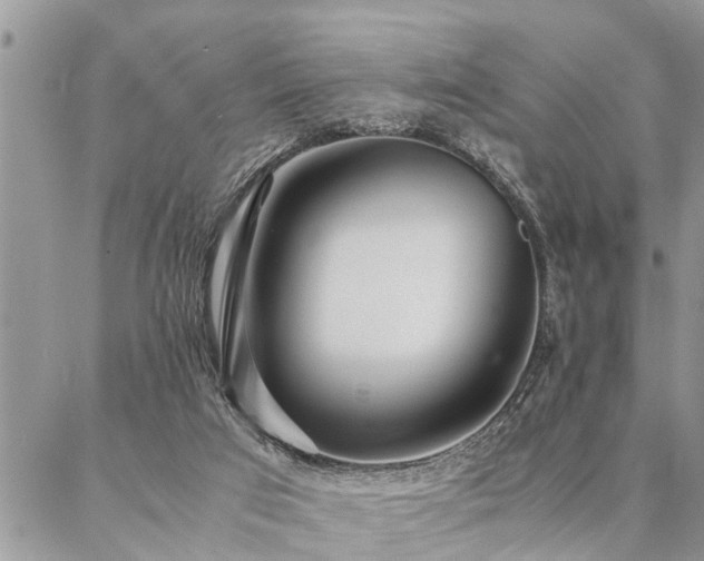 X0000087390017200704201254