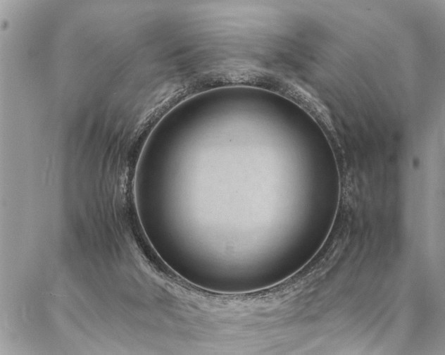 X0000087390018200704201254