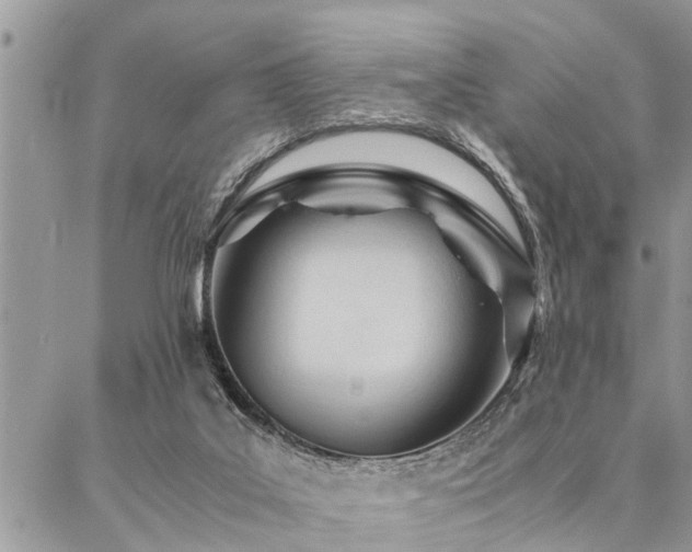 X0000087390019200704201254