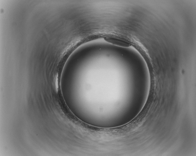 X0000087390020200704201254