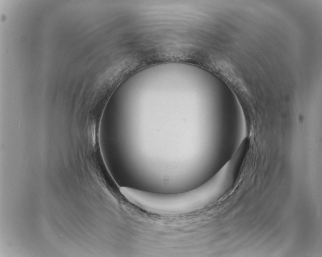 X0000087390021200704201254