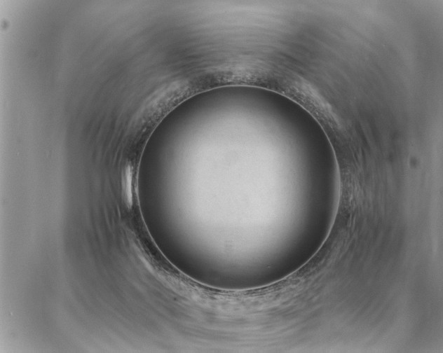 X0000087390022200704201254