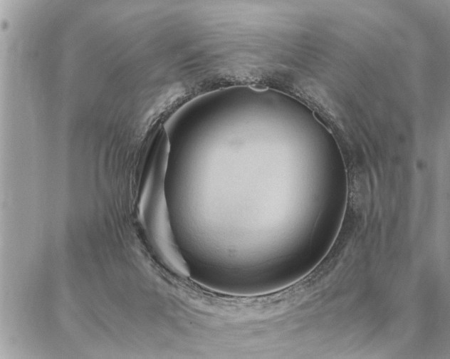 X0000087390023200704201254