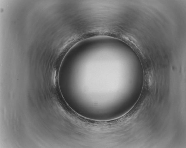 X0000087390024200704201254