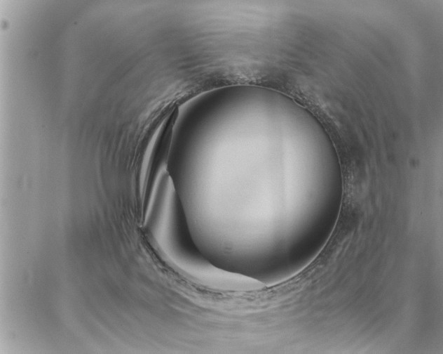 X0000087390027200704201253