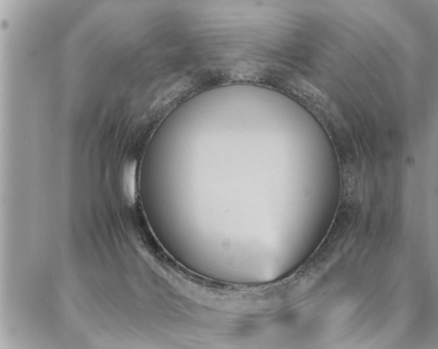 X0000087390028200704201253