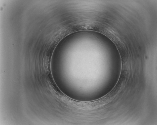 X0000087390030200704201253