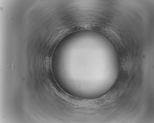 X0000087390036200704201253