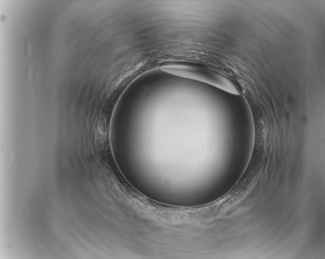 X0000087390040200704201253