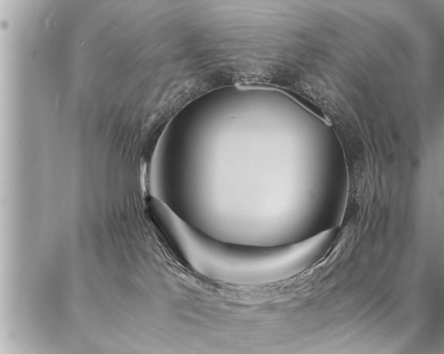 X0000087390041200704201253