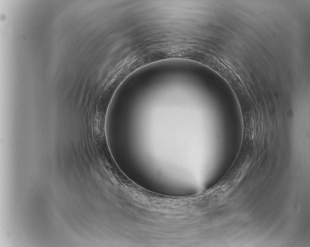 X0000087390044200704201253