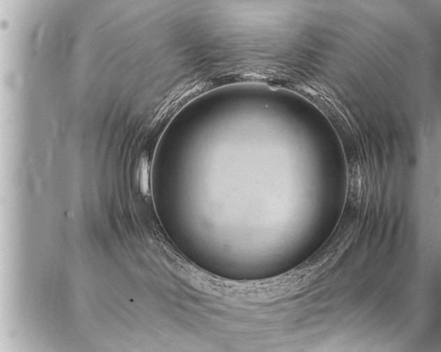 X0000087390046200704201253