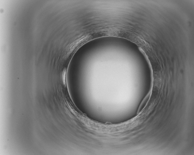 X0000087390047200704201253