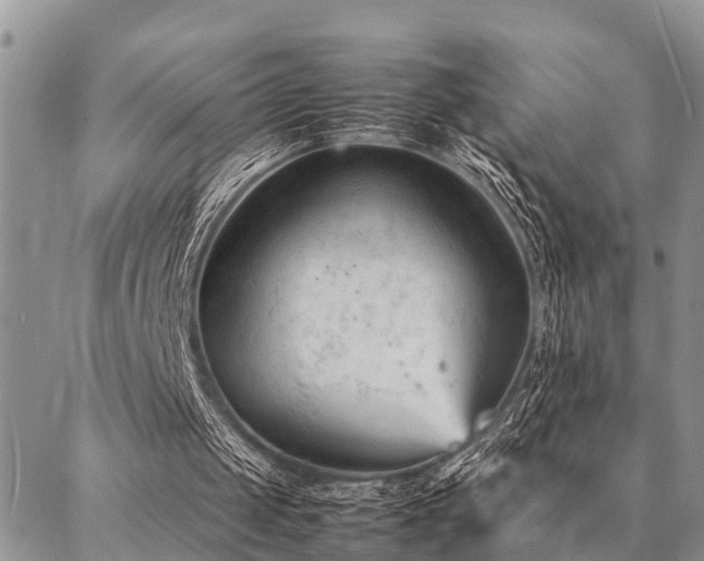 X0000087390049200704201252