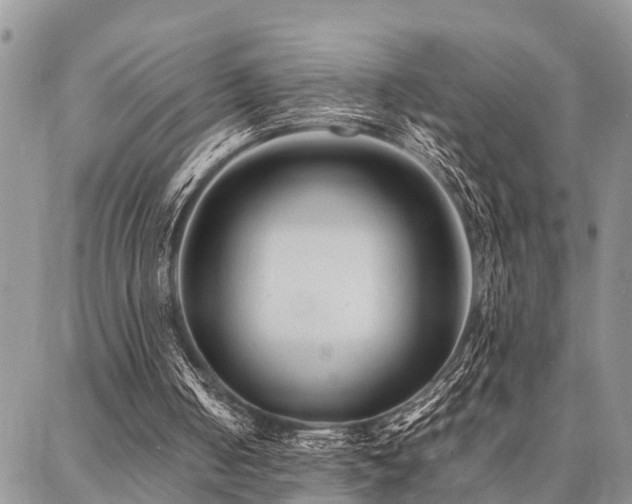 X0000087390050200704201252