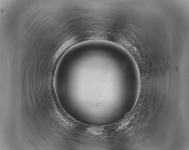 X0000087390051200704201252