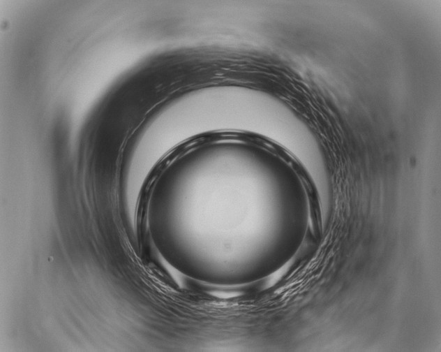 X0000087390052200704201252