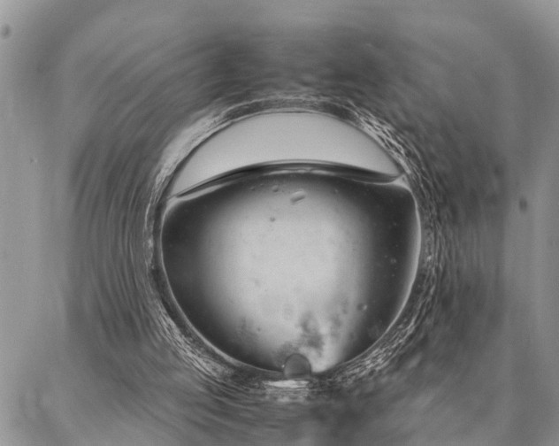 X0000087390053200704201252