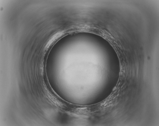 X0000087390054200704201252