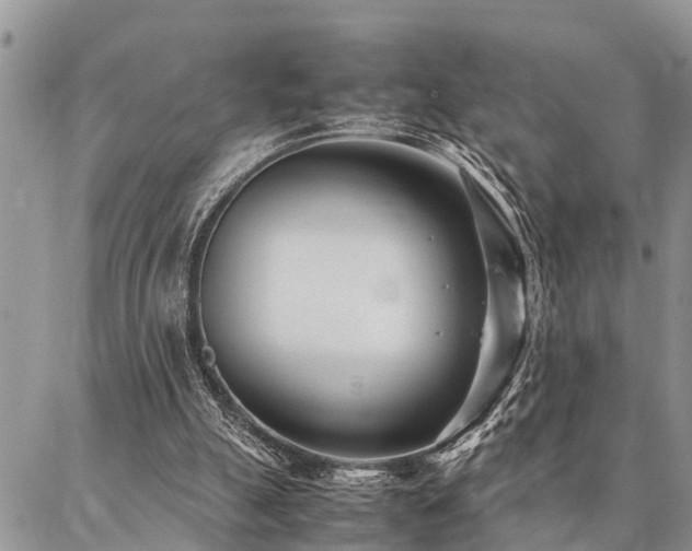 X0000087390055200704201252