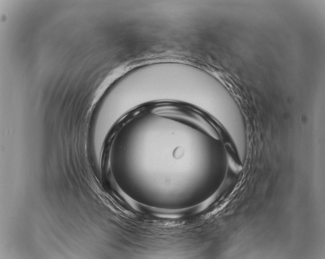 X0000087390056200704201252