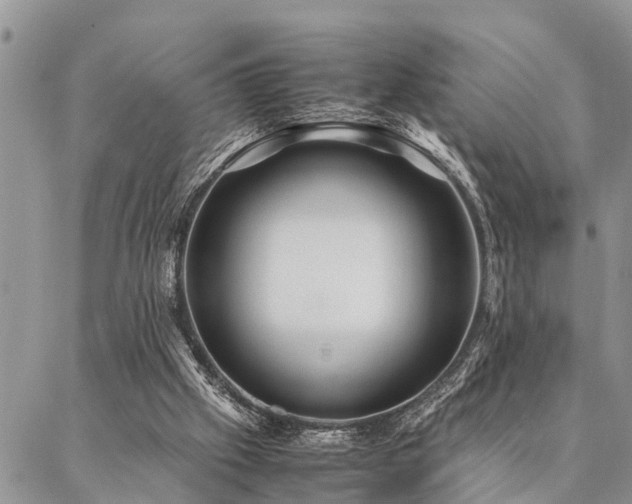 X0000087390057200704201252